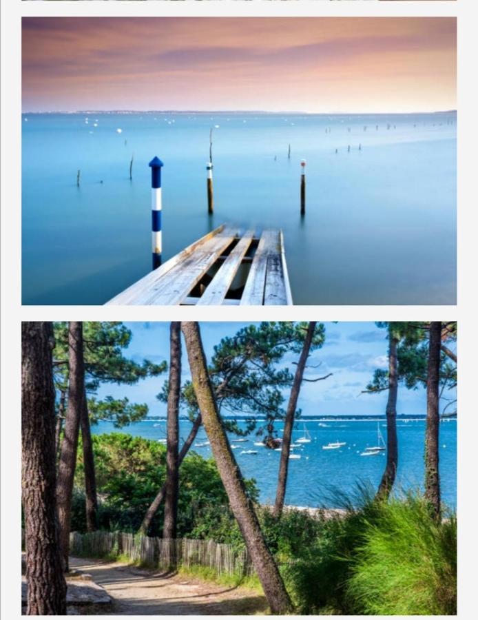 Appartement Vue Sur Baie Et Ocean, 100 M De La Plage Et Du Centre Par Chemin Prive Arcachon Exterior photo